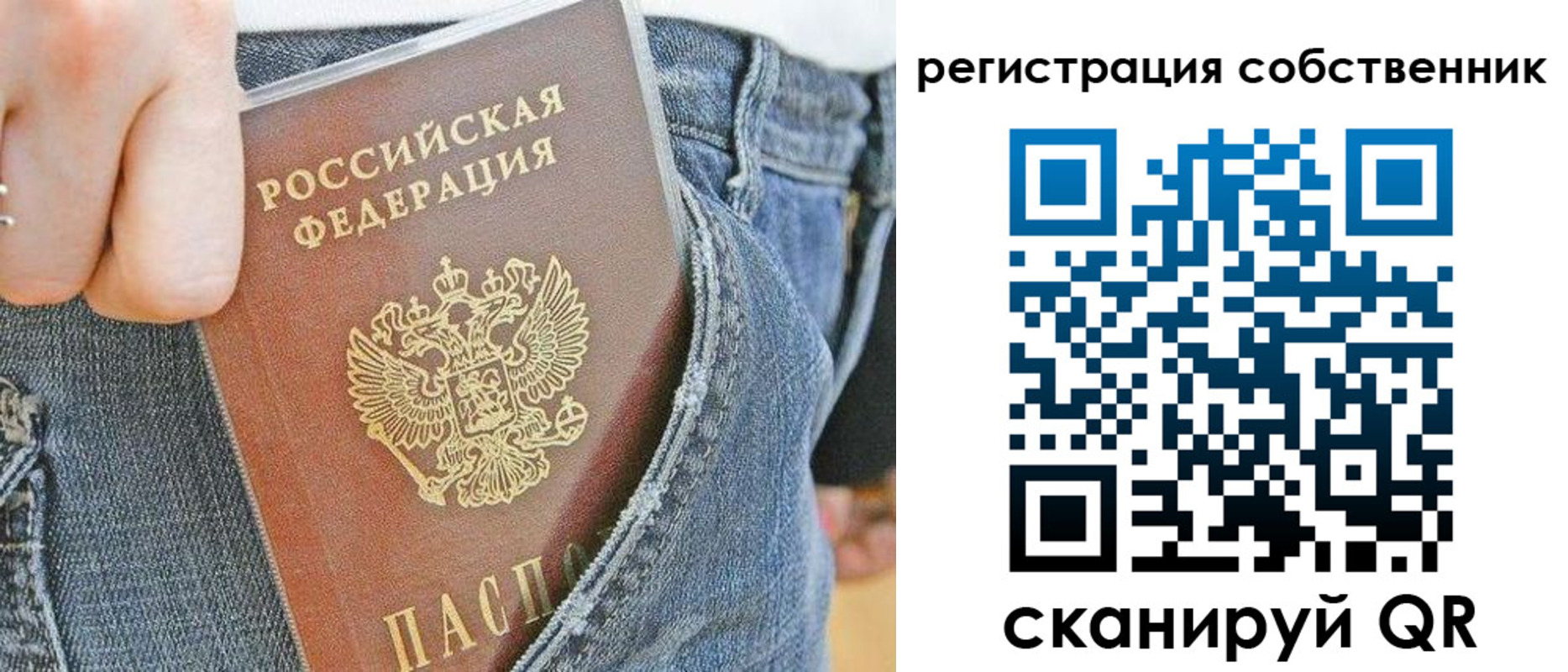 временная регистрация гарантия в Палласовке
