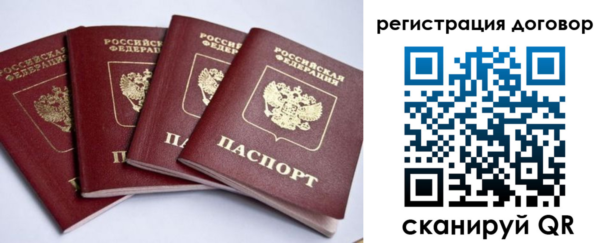 прописка паспорт в Палласовке